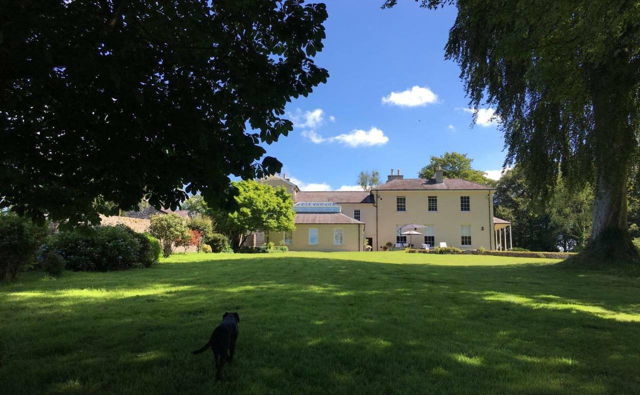 Llwynhelig Manor Bed & Breakfast Llandeilo Dış mekan fotoğraf