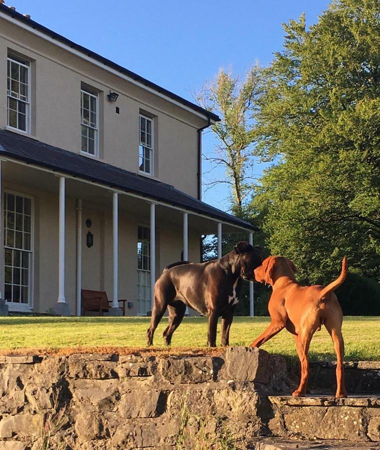 Llwynhelig Manor Bed & Breakfast Llandeilo Dış mekan fotoğraf