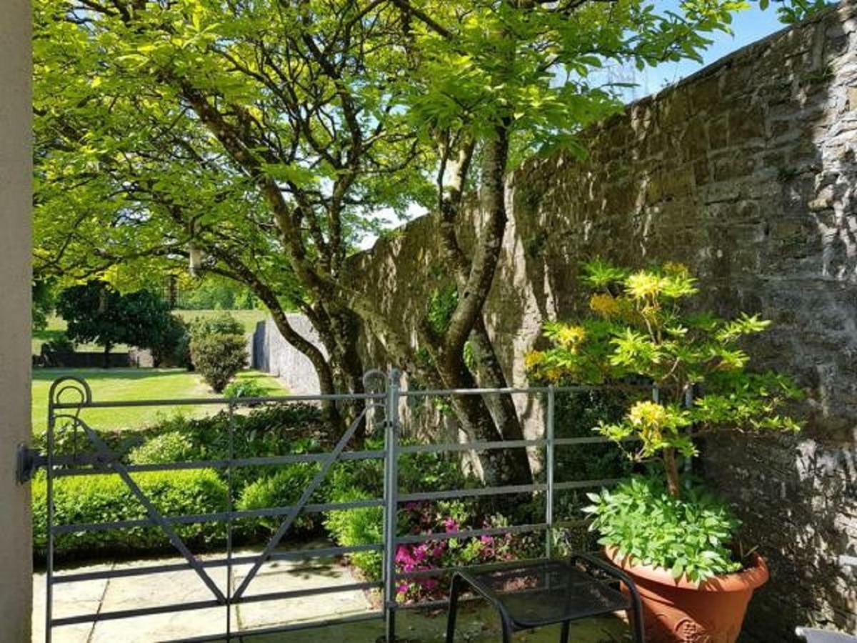 Llwynhelig Manor Bed & Breakfast Llandeilo Dış mekan fotoğraf