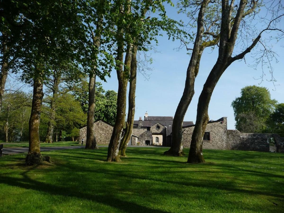 Llwynhelig Manor Bed & Breakfast Llandeilo Dış mekan fotoğraf